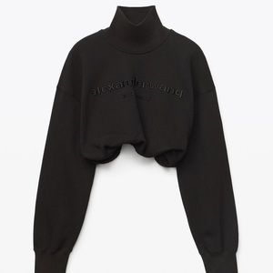 Alexander wang sweatshirt